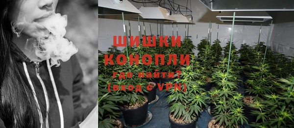 молекула духа Ельня