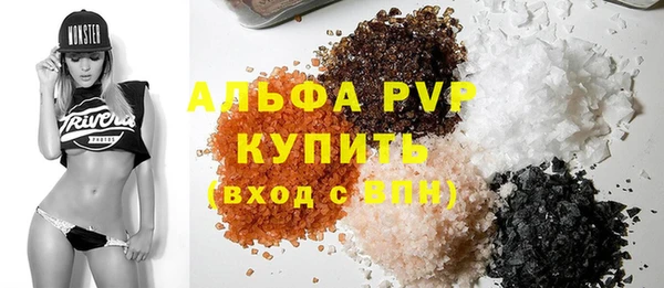 молекула духа Ельня