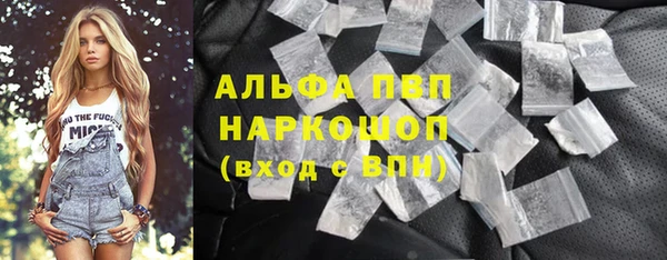 молекула духа Ельня
