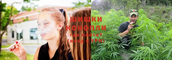 скорость Елизово