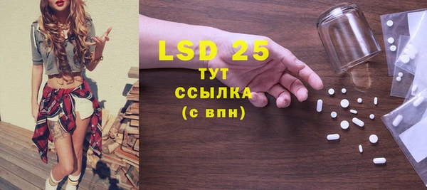 молекула духа Ельня