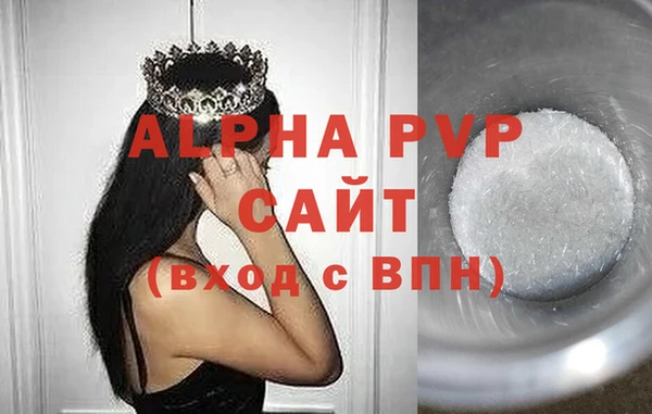 молекула духа Ельня