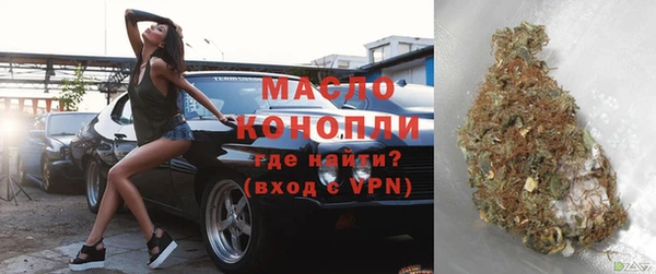 молекула духа Ельня