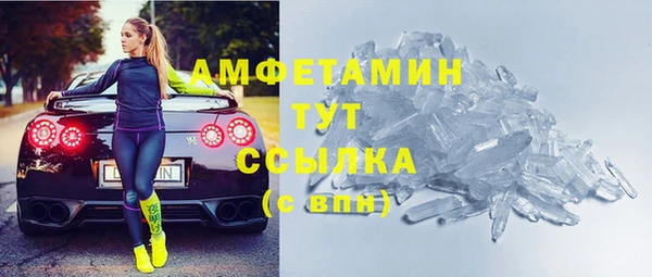 молекула духа Ельня