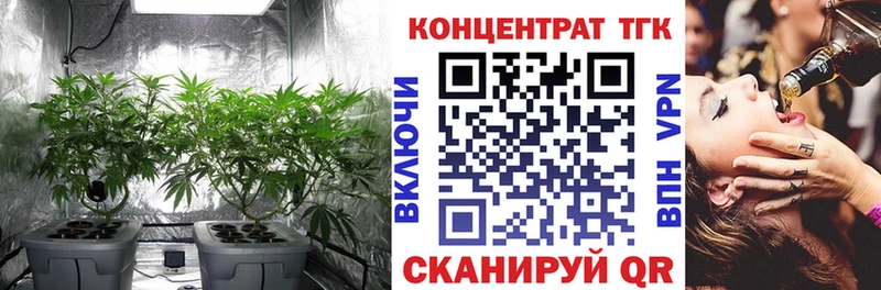 Дистиллят ТГК гашишное масло  KRAKEN зеркало  Пионерский 