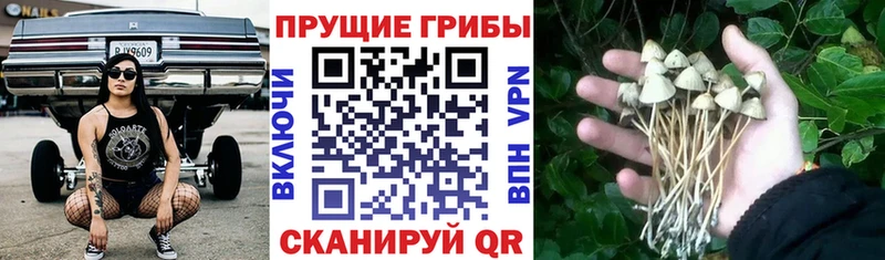 гидра ONION  Пионерский  Галлюциногенные грибы прущие грибы  даркнет сайт 